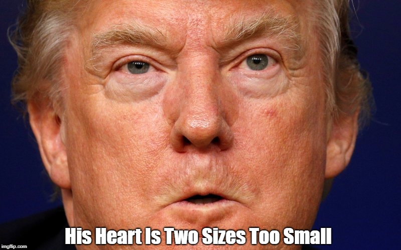 His Heart Is Two Sizes Too Small | made w/ Imgflip meme maker