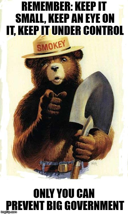Smokey The Bear | REMEMBER: KEEP IT SMALL, KEEP AN EYE ON IT, KEEP IT UNDER CONTROL; ONLY YOU CAN PREVENT BIG GOVERNMENT | image tagged in smokey the bear | made w/ Imgflip meme maker