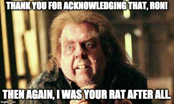 Peter Pettigrew In Fear | THANK YOU FOR ACKNOWLEDGING THAT, RON! THEN AGAIN, I WAS YOUR RAT AFTER ALL. | image tagged in peter pettigrew in fear | made w/ Imgflip meme maker