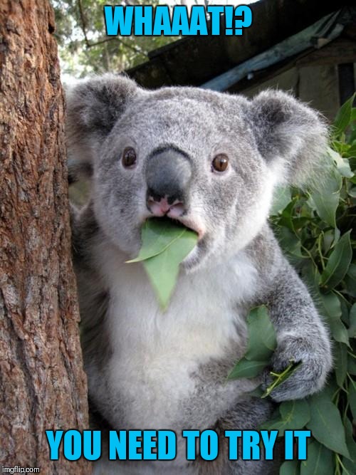 Surprised Koala Meme | WHAAAT!? YOU NEED TO TRY IT | image tagged in memes,surprised koala | made w/ Imgflip meme maker