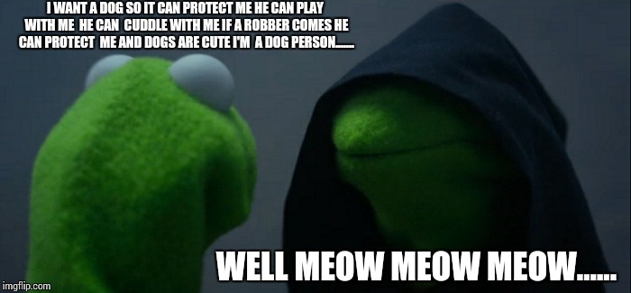 Evil Kermit Meme | I WANT A DOG SO IT CAN PROTECT ME HE CAN PLAY WITH ME  HE CAN  CUDDLE WITH ME IF A ROBBER COMES HE CAN PROTECT  ME AND DOGS ARE CUTE I'M  A DOG PERSON....... WELL MEOW MEOW MEOW...... | image tagged in memes,evil kermit | made w/ Imgflip meme maker