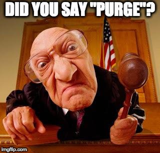 Mean Judge | DID YOU SAY "PURGE"? | image tagged in mean judge | made w/ Imgflip meme maker