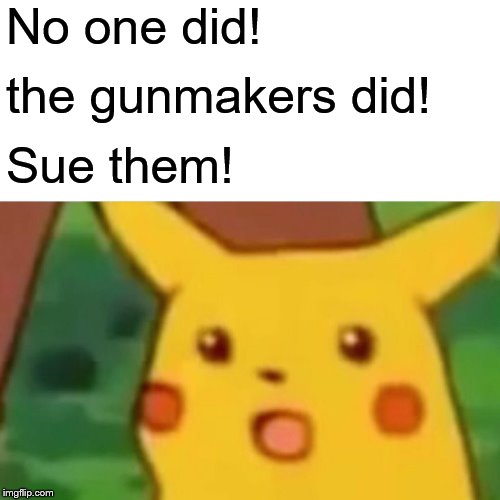 Surprised Pikachu Meme | No one did! the gunmakers did! Sue them! | image tagged in memes,surprised pikachu | made w/ Imgflip meme maker