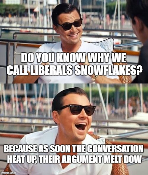 Leonardo Dicaprio Wolf Of Wall Street | DO YOU KNOW WHY WE CALL LIBERALS SNOWFLAKES? BECAUSE AS SOON THE CONVERSATION HEAT UP, THEIR ARGUMENT MELT DOW | image tagged in memes,leonardo dicaprio wolf of wall street | made w/ Imgflip meme maker