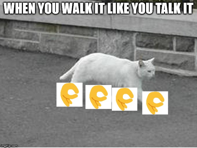 Walking | WHEN YOU WALK IT LIKE YOU TALK IT | image tagged in walking,cats,cat,funny cats,funny cat,funny cat memes | made w/ Imgflip meme maker