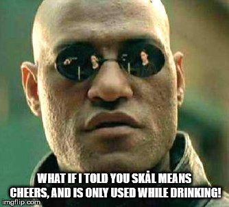 Skål explained |  WHAT IF I TOLD YOU SKÅL MEANS CHEERS, AND IS ONLY USED WHILE DRINKING! | image tagged in what if i told you,skol,viking | made w/ Imgflip meme maker