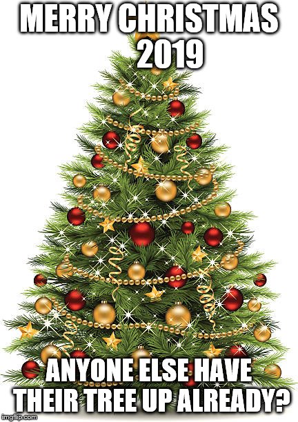 Christmas Tree | MERRY CHRISTMAS       2019; ANYONE ELSE HAVE THEIR TREE UP ALREADY? | image tagged in christmas tree | made w/ Imgflip meme maker