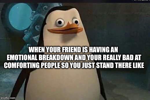 Madagascar penguin | WHEN YOUR FRIEND IS HAVING AN EMOTIONAL BREAKDOWN AND YOUR REALLY BAD AT COMFORTING PEOPLE SO YOU JUST STAND THERE LIKE | image tagged in madagascar penguin | made w/ Imgflip meme maker