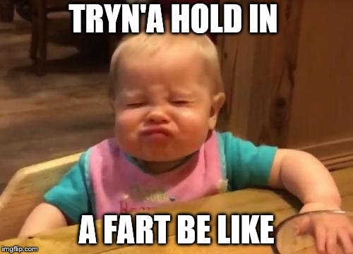TRYN'A HOLD IN; A FART BE LIKE | image tagged in funny memes | made w/ Imgflip meme maker