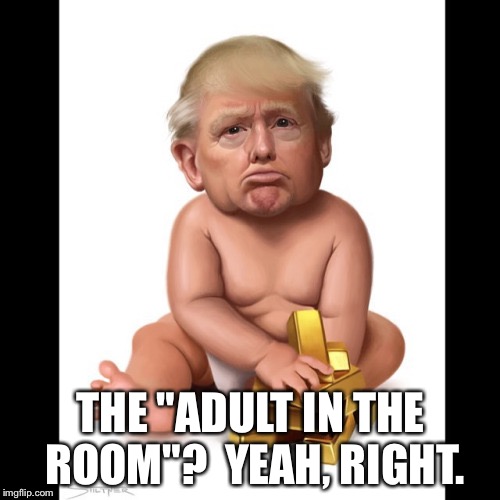 Trump Baby | THE "ADULT IN THE ROOM"?  YEAH, RIGHT. | image tagged in trump baby | made w/ Imgflip meme maker