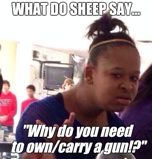 Black Girl Wat Meme | WHAT DO SHEEP SAY... "Why do you need to own/carry a gun!?" | image tagged in memes,black girl wat | made w/ Imgflip meme maker