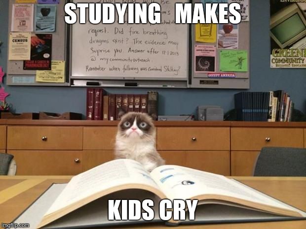 Grumpy cat studying | STUDYING   MAKES; KIDS CRY | image tagged in grumpy cat studying | made w/ Imgflip meme maker