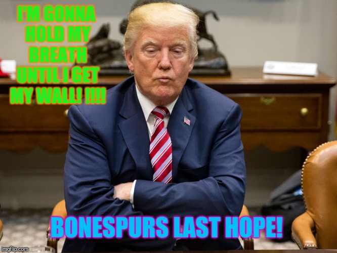 Can we film this for youtube?  | I'M GONNA HOLD MY BREATH UNTIL I GET MY WALL! !!!! BONESPURS LAST HOPE! | image tagged in pouty trump,the wall,donald trump,republicans,vladimir putin | made w/ Imgflip meme maker