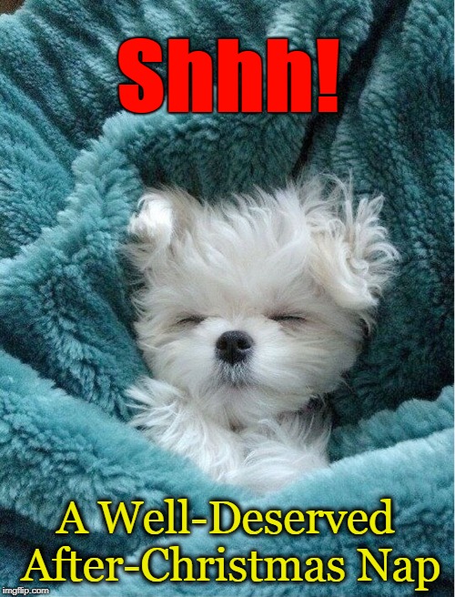 After the Holidays What We All Need But Few Get | Shhh! A Well-Deserved After-Christmas Nap | image tagged in vince vance,dogs,cute puppy,white puppy sleeping,nap,after christmas nap | made w/ Imgflip meme maker