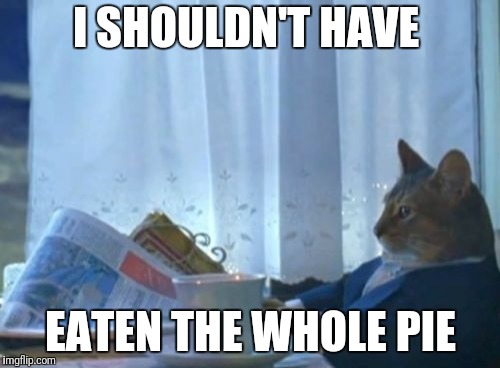 I Should Buy A Boat Cat Meme | I SHOULDN'T HAVE; EATEN THE WHOLE PIE | image tagged in memes,i should buy a boat cat | made w/ Imgflip meme maker