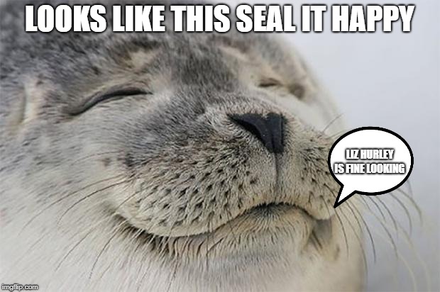 Satisfied Seal | LOOKS LIKE THIS SEAL IT HAPPY; LIZ HURLEY IS FINE LOOKING | image tagged in memes,satisfied seal | made w/ Imgflip meme maker