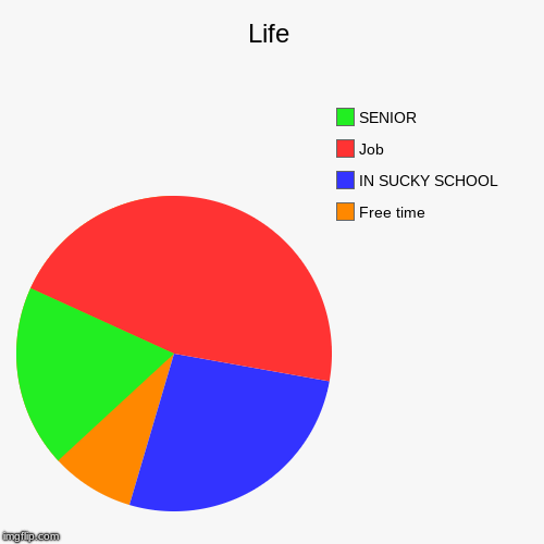 Life | Free time, IN SUCKY SCHOOL, Job, SENIOR | image tagged in funny,pie charts | made w/ Imgflip chart maker