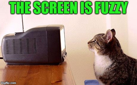 cat watching tv | THE SCREEN IS FUZZY | image tagged in cat watching tv | made w/ Imgflip meme maker