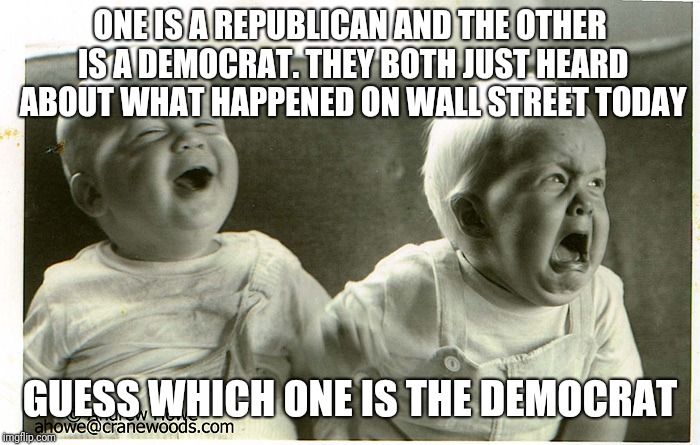 One guess | ONE IS A REPUBLICAN AND THE OTHER IS A DEMOCRAT. THEY BOTH JUST HEARD ABOUT WHAT HAPPENED ON WALL STREET TODAY; GUESS WHICH ONE IS THE DEMOCRAT | image tagged in wall street,crybabies | made w/ Imgflip meme maker