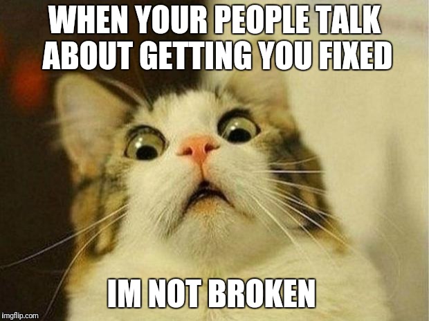 Scared Cat | WHEN YOUR PEOPLE TALK ABOUT GETTING YOU FIXED; IM NOT BROKEN | image tagged in memes,scared cat | made w/ Imgflip meme maker