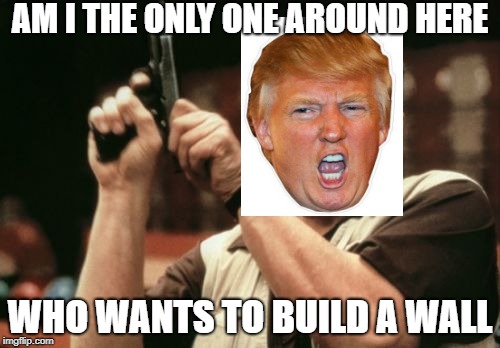 Am I The Only One Around Here | AM I THE ONLY ONE AROUND HERE; WHO WANTS TO BUILD A WALL | image tagged in memes,am i the only one around here | made w/ Imgflip meme maker