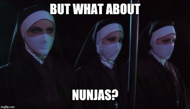 Nunjas | BUT WHAT ABOUT NUNJAS? | image tagged in nunjas | made w/ Imgflip meme maker
