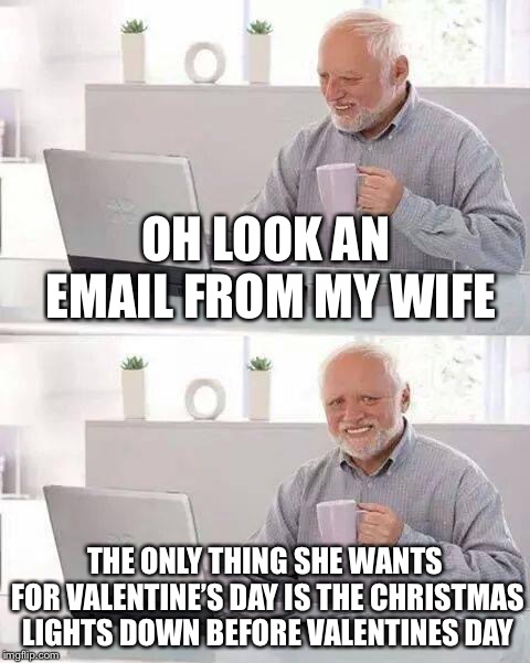 Hide the Pain Harold Meme | OH LOOK AN EMAIL FROM MY WIFE; THE ONLY THING SHE WANTS FOR VALENTINE’S DAY IS THE CHRISTMAS LIGHTS DOWN BEFORE VALENTINES DAY | image tagged in memes,hide the pain harold | made w/ Imgflip meme maker