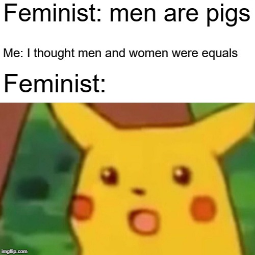 Surprised Pikachu | Feminist: men are pigs; Me: I thought men and women were equals; Feminist: | image tagged in memes,surprised pikachu | made w/ Imgflip meme maker