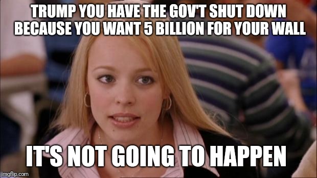 Its Not Going To Happen | TRUMP YOU HAVE THE GOV'T SHUT DOWN BECAUSE YOU WANT 5 BILLION FOR YOUR WALL; IT'S NOT GOING TO HAPPEN | image tagged in memes,its not going to happen | made w/ Imgflip meme maker