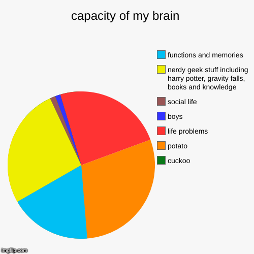 capacity of my brain | cuckoo, potato, life problems, boys, social life, nerdy geek stuff including harry potter, gravity falls, books and k | image tagged in funny,pie charts | made w/ Imgflip chart maker