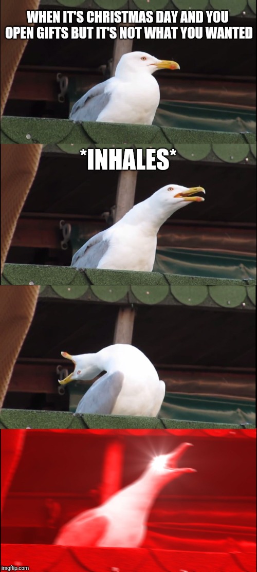 Inhaling Seagull Meme | WHEN IT'S CHRISTMAS DAY AND YOU OPEN GIFTS BUT IT'S NOT WHAT YOU WANTED; *INHALES* | image tagged in memes,inhaling seagull | made w/ Imgflip meme maker