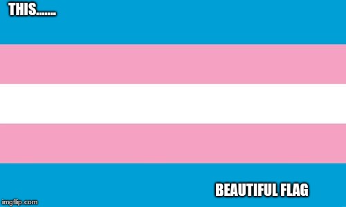 Transgender Flag | THIS....... BEAUTIFUL FLAG | image tagged in transgender flag | made w/ Imgflip meme maker