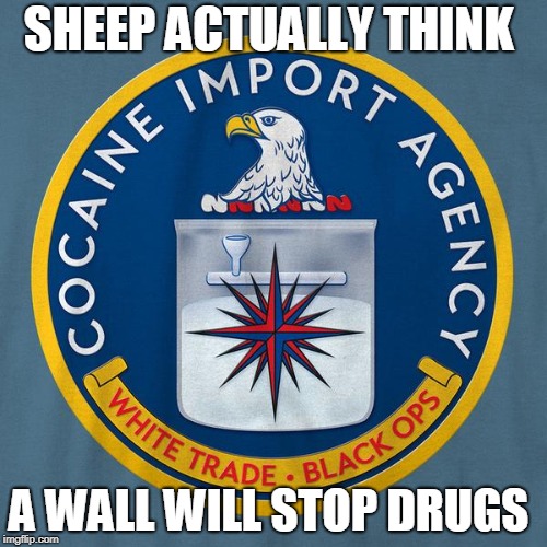 SHEEP ACTUALLY THINK; A WALL WILL STOP DRUGS | image tagged in special kind of stupid | made w/ Imgflip meme maker