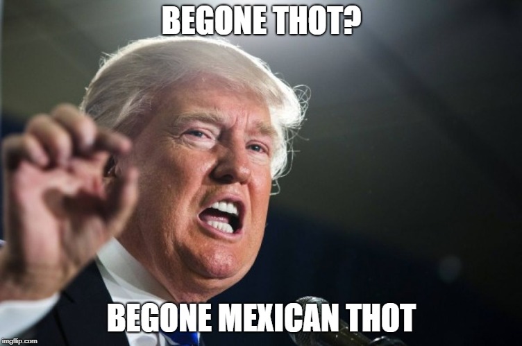 donald trump | BEGONE THOT? BEGONE MEXICAN THOT | image tagged in donald trump | made w/ Imgflip meme maker