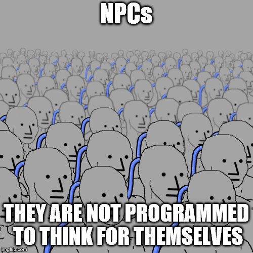 NPCs THEY ARE NOT PROGRAMMED TO THINK FOR THEMSELVES | made w/ Imgflip meme maker