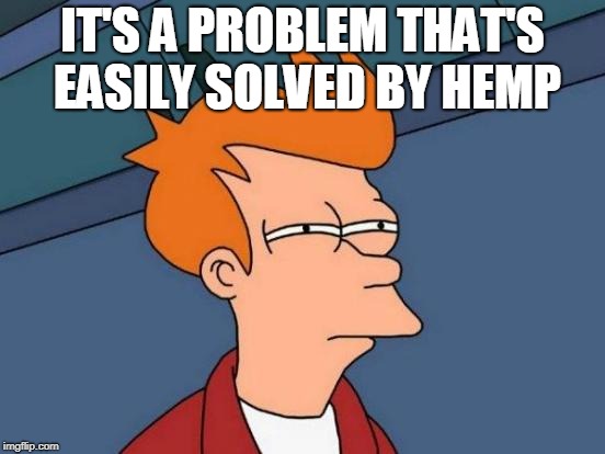Futurama Fry Meme | IT'S A PROBLEM THAT'S EASILY SOLVED BY HEMP | image tagged in memes,futurama fry | made w/ Imgflip meme maker