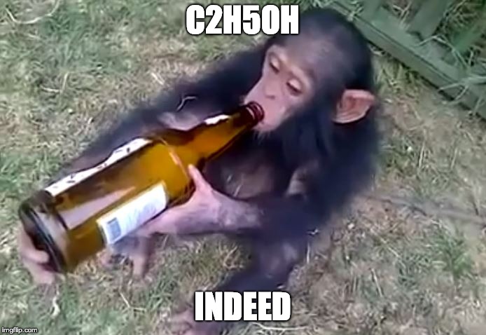 Monkey on booze | C2H5OH INDEED | image tagged in monkey on booze | made w/ Imgflip meme maker