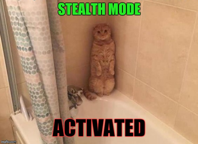 Sneaky cat | STEALTH MODE; ACTIVATED | image tagged in sneaky cat,cats,stealth,memes,cat hiding,hiding | made w/ Imgflip meme maker