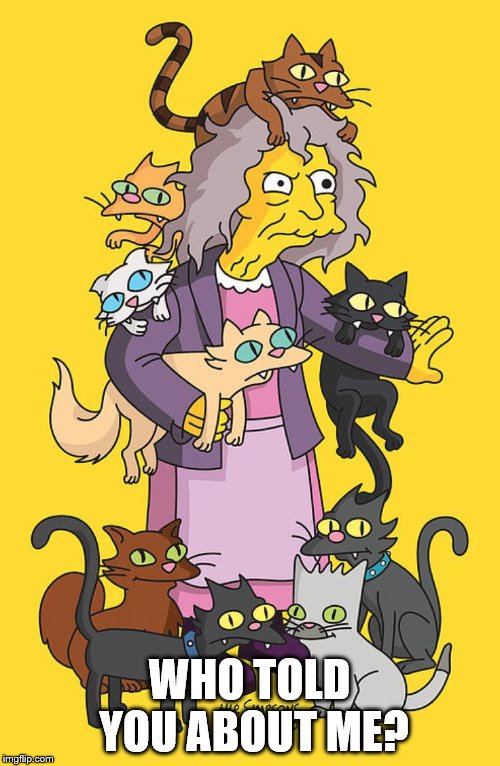 simpsons cat lady | WHO TOLD YOU ABOUT ME? | image tagged in simpsons cat lady | made w/ Imgflip meme maker