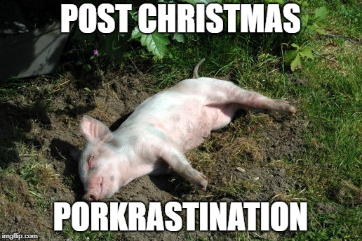 Nap Time | POST CHRISTMAS; PORKRASTINATION | image tagged in sleeping,piglet,the day after | made w/ Imgflip meme maker