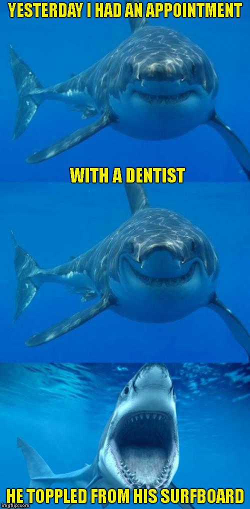 Bad Shark Pun  | YESTERDAY I HAD AN APPOINTMENT; WITH A DENTIST; HE TOPPLED FROM HIS SURFBOARD | image tagged in bad shark pun,memes | made w/ Imgflip meme maker