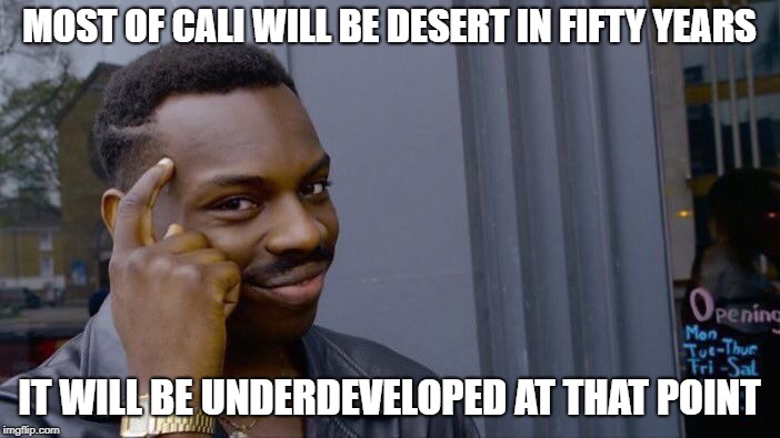 Roll Safe Think About It Meme | MOST OF CALI WILL BE DESERT IN FIFTY YEARS IT WILL BE UNDERDEVELOPED AT THAT POINT | image tagged in memes,roll safe think about it | made w/ Imgflip meme maker