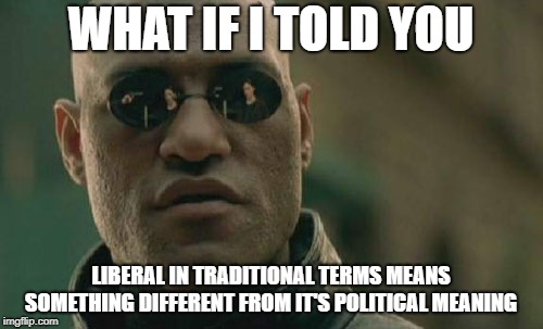 Matrix Morpheus Meme | WHAT IF I TOLD YOU LIBERAL IN TRADITIONAL TERMS MEANS SOMETHING DIFFERENT FROM IT'S POLITICAL MEANING | image tagged in memes,matrix morpheus | made w/ Imgflip meme maker