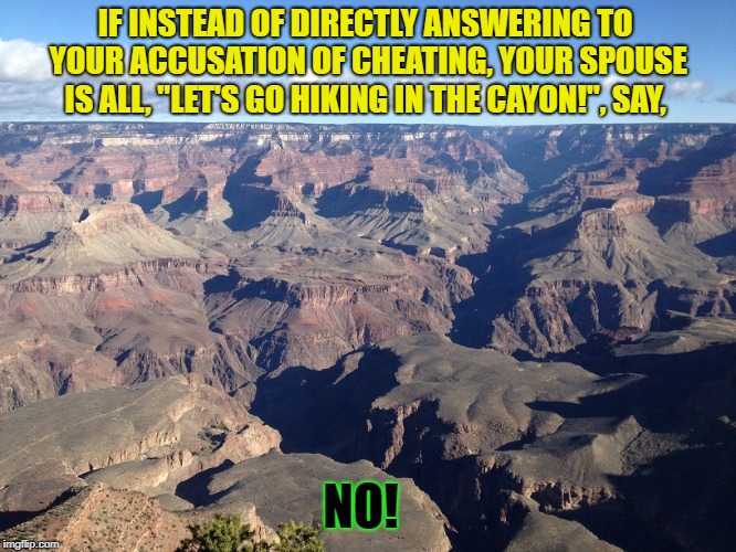 Grand Canyon | IF INSTEAD OF DIRECTLY ANSWERING TO YOUR ACCUSATION OF CHEATING, YOUR SPOUSE IS ALL, "LET'S GO HIKING IN THE CAYON!", SAY, NO! | image tagged in grand canyon | made w/ Imgflip meme maker