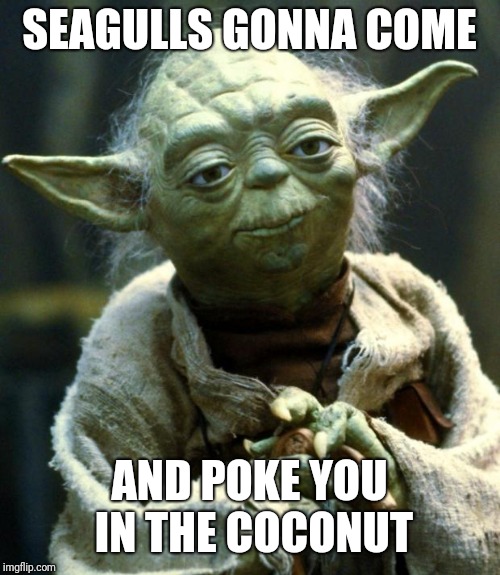 Star Wars Yoda | SEAGULLS GONNA COME; AND POKE YOU IN THE COCONUT | image tagged in memes,star wars yoda | made w/ Imgflip meme maker