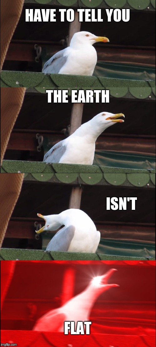 Inhaling Seagull Meme | HAVE TO TELL YOU; THE EARTH; ISN'T; FLAT | image tagged in memes,inhaling seagull | made w/ Imgflip meme maker