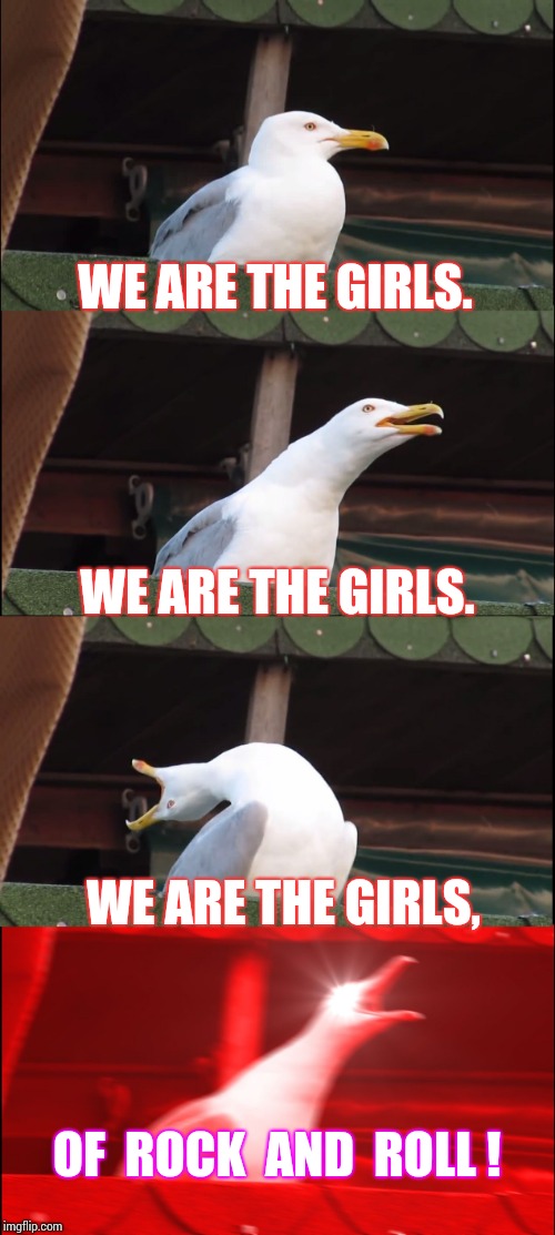 You Can Not Out Rock And Roll A Girl!!! | WE ARE THE GIRLS. WE ARE THE GIRLS. WE ARE THE GIRLS, OF  ROCK  AND  ROLL ! | image tagged in memes,inhaling seagull,rock and roll,rock n roll,rock music,rock concert | made w/ Imgflip meme maker