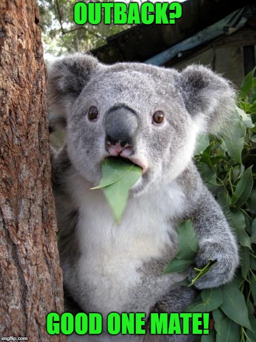 Surprised Koala Meme | OUTBACK? GOOD ONE MATE! | image tagged in memes,surprised koala | made w/ Imgflip meme maker