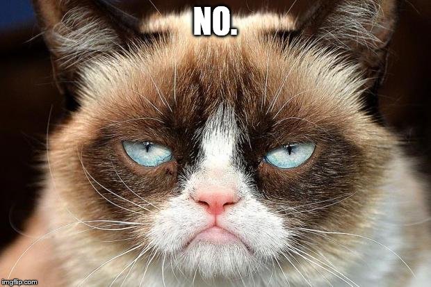 Grumpy Cat Not Amused Meme | NO. | image tagged in memes,grumpy cat not amused,grumpy cat | made w/ Imgflip meme maker
