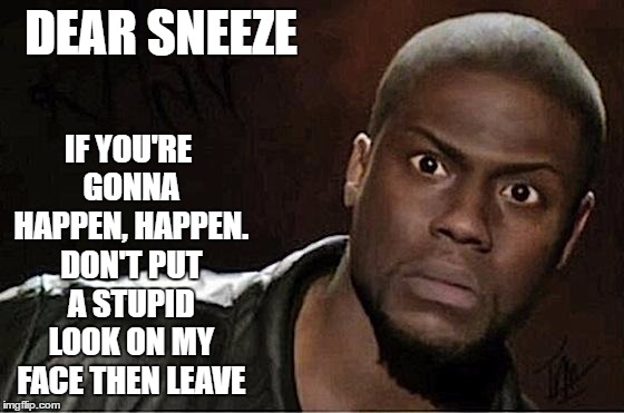 Kevin Hart | IF YOU'RE GONNA HAPPEN, HAPPEN. DON'T PUT A STUPID LOOK ON MY FACE THEN LEAVE; DEAR SNEEZE | image tagged in memes,kevin hart,sneeze,random,stupid | made w/ Imgflip meme maker